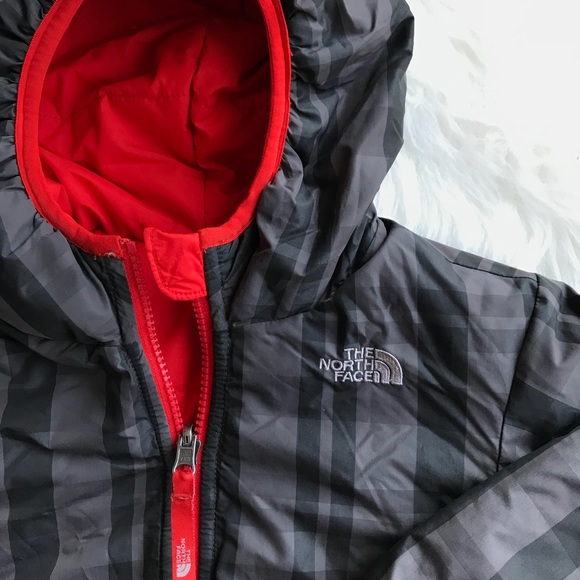 north face perrito 3t